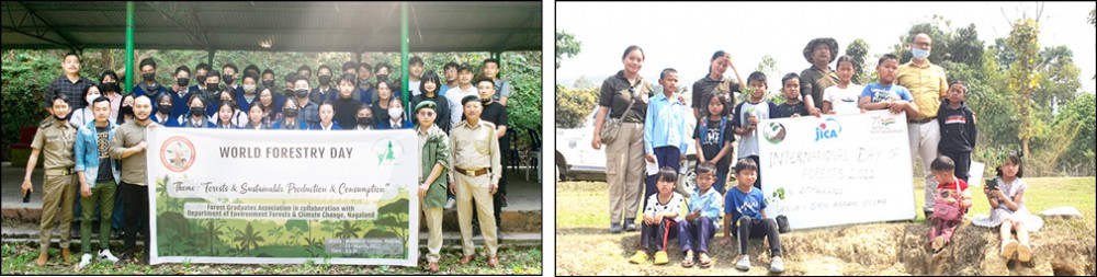 Nagaland observes World Forestry Day